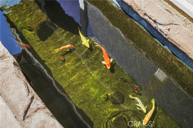 Detail Gallery Image 37 of 37 For 2355 Stormcroft, Westlake Village,  CA 91361 - 4 Beds | 2/1 Baths