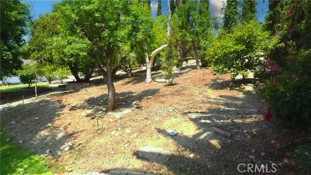 2509 Euclid E, Upland CA: https://media.crmls.org/medias/90d7b615-0962-4d45-9f78-9a10f8244b07.jpg