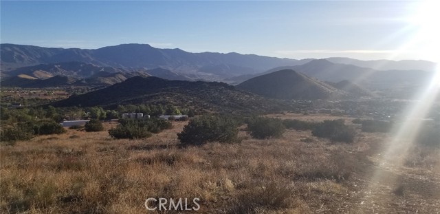 0 Rolandee Street, Acton CA: https://media.crmls.org/medias/90d9e180-6ddd-41cf-a10f-c2b0d7541a88.jpg
