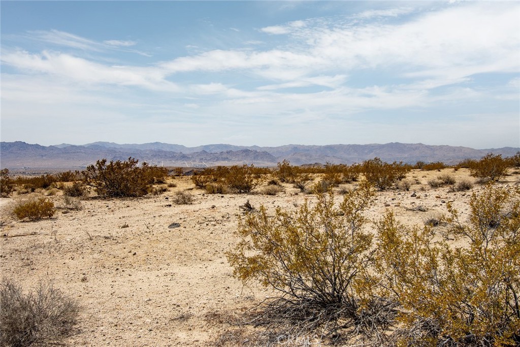 MLS #JT25181027 image #16