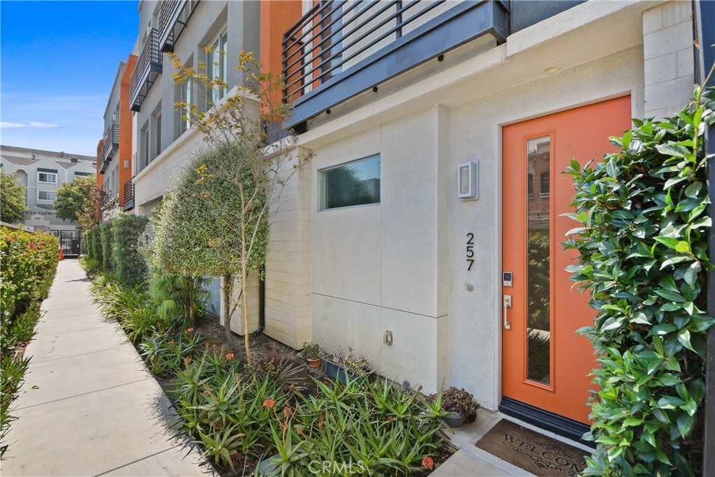 257 Elm