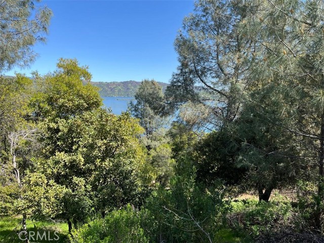 Detail Gallery Image 3 of 7 For 8452 Soda Bay Rd, Kelseyville,  CA 95451 - – Beds | – Baths