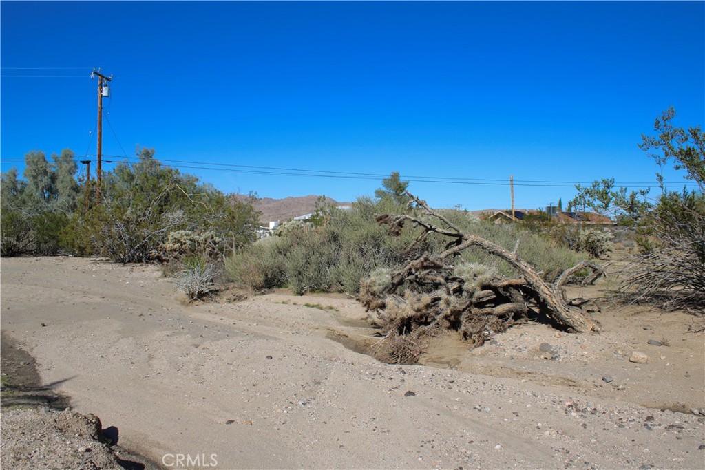 MLS #JT25263830 image #22