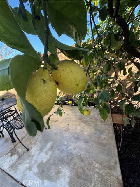 Detail Gallery Image 46 of 57 For 25056 Driftoak, Murrieta,  CA 92562 - 3 Beds | 2/1 Baths