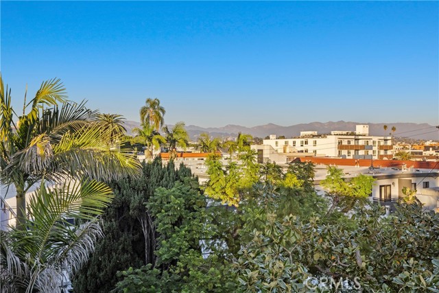 Detail Gallery Image 2 of 39 For 4845 Elmwood #C,  Los Angeles,  CA 90004 - 3 Beds | 3 Baths