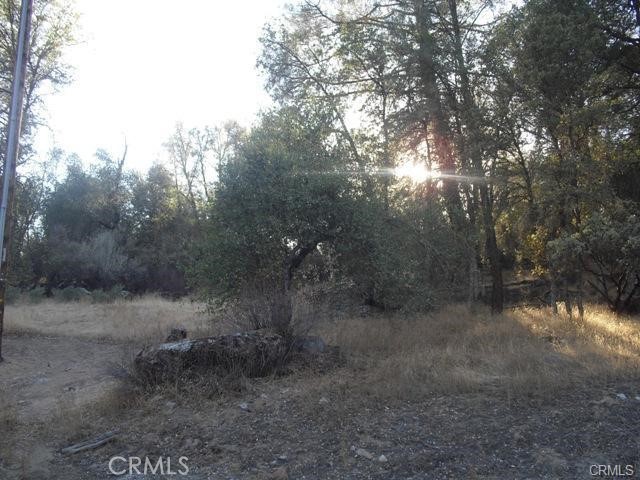 MLS #MC25047536 image #1