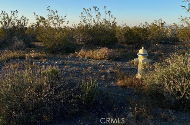 Detail Gallery Image 1 of 7 For 0 Calaveras, Pinon Hills,  CA 92372 - – Beds | – Baths