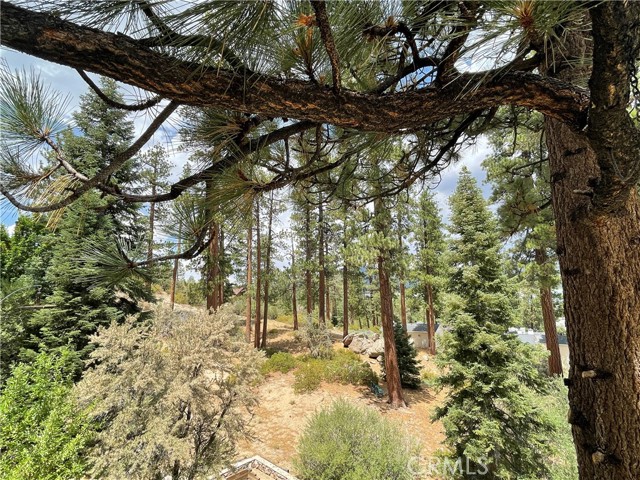 748 Paine, Big Bear Lake, CA, 92315 748 Paine, Big Bear Lake, CA, 92315