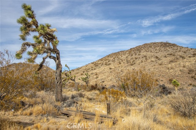 Detail Gallery Image 25 of 26 For 56422 Paseo Los Ninos, Yucca Valley,  CA 92284 - 1 Beds | 1 Baths