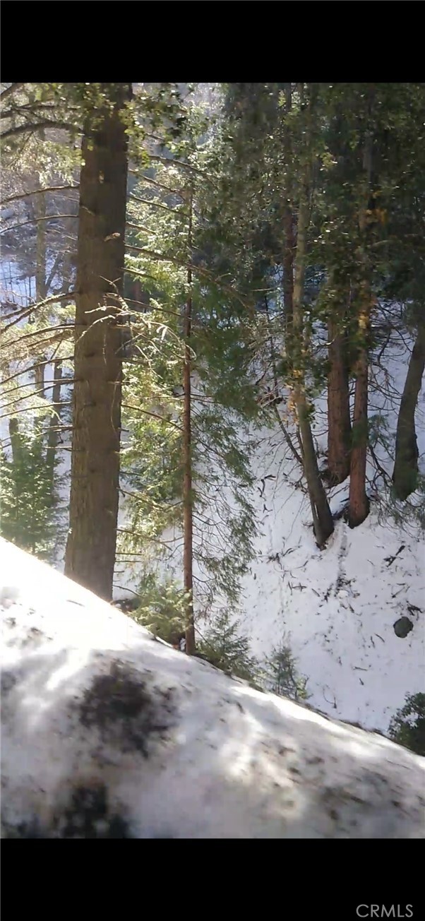 0 Saxon, Crestline CA: https://media.crmls.org/medias/910fed7e-cc11-43cf-a9d6-9dd0d7dbe61e.jpg