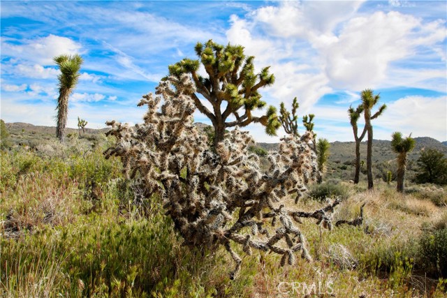 Detail Gallery Image 9 of 32 For 26 Vista Rd, Pioneertown,  CA 92356 - – Beds | – Baths