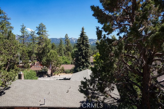 Detail Gallery Image 46 of 61 For 1091 Blue Mountain Rd, Big Bear City,  CA 92314 - 3 Beds | 2 Baths