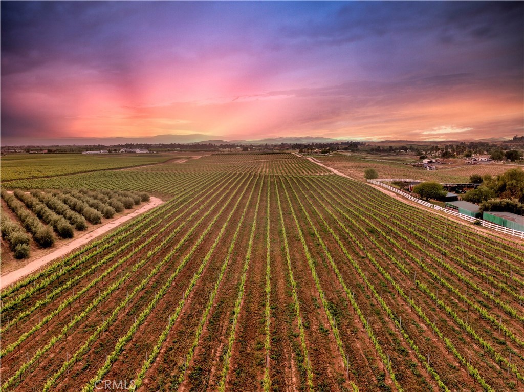 91149Ecf 8666 4799 Ad55 4Db883Ce5577 40125 Camino Del Vino, Temecula, Ca 92592 &Lt;Span Style='BackgroundColor:transparent;Padding:0Px;'&Gt; &Lt;Small&Gt; &Lt;I&Gt; &Lt;/I&Gt; &Lt;/Small&Gt;&Lt;/Span&Gt;