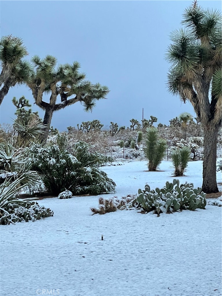 91191D90 088A 47A9 82F9 A7299A960C94 59019 Pueblo Trail, Yucca Valley, Ca 92284 &Lt;Span Style='BackgroundColor:transparent;Padding:0Px;'&Gt; &Lt;Small&Gt; &Lt;I&Gt; &Lt;/I&Gt; &Lt;/Small&Gt;&Lt;/Span&Gt;
