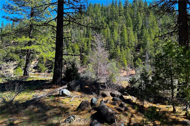 Detail Gallery Image 4 of 35 For 79402 State Highway 3, Trinity Center,  CA 96091 - – Beds | – Baths