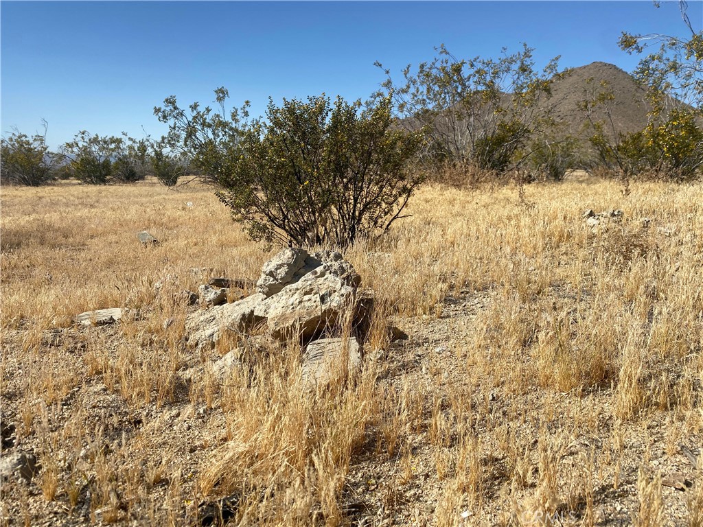 MLS #HD24098646 image #6