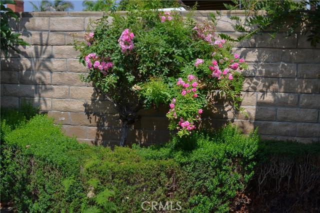 Detail Gallery Image 58 of 67 For 415 S Grandin Ave, Azusa,  CA 91702 - 3 Beds | 1 Baths