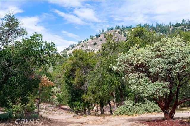 Detail Gallery Image 46 of 49 For 9000 Figueroa Mountain Rd, Los Olivos,  CA 93441 - 2 Beds | 1 Baths