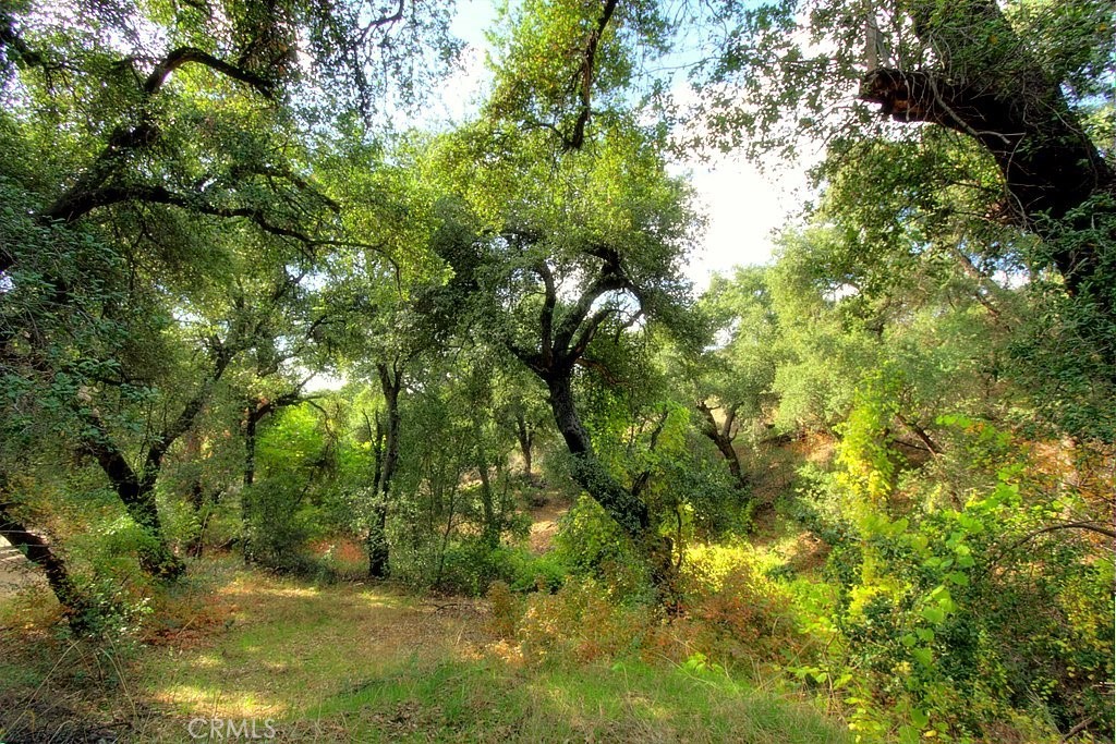 MLS #IG25034144 img 63