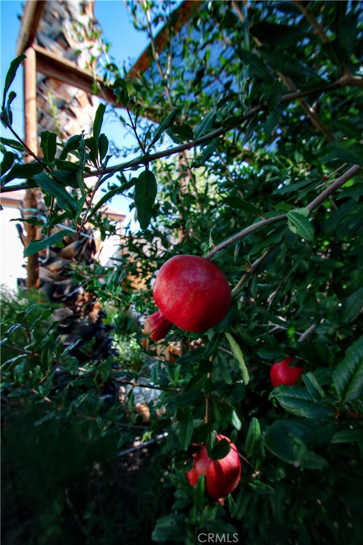 MLS #OC25216767 image #35