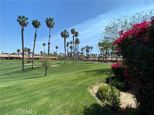 Image 8 for 76437   Violet CIR