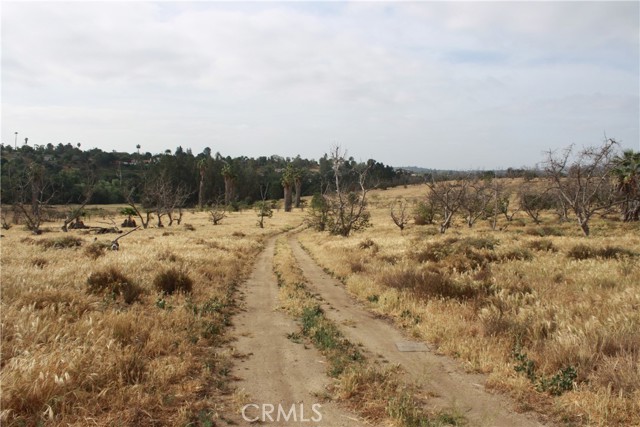 0 Winter Haven, Fallbrook, CA, 92028 0 Winter Haven, Fallbrook, CA, 92028