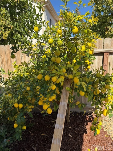 Detail Gallery Image 45 of 46 For 4525 Biltmore, Chowchilla,  CA 93610 - 3 Beds | 2 Baths