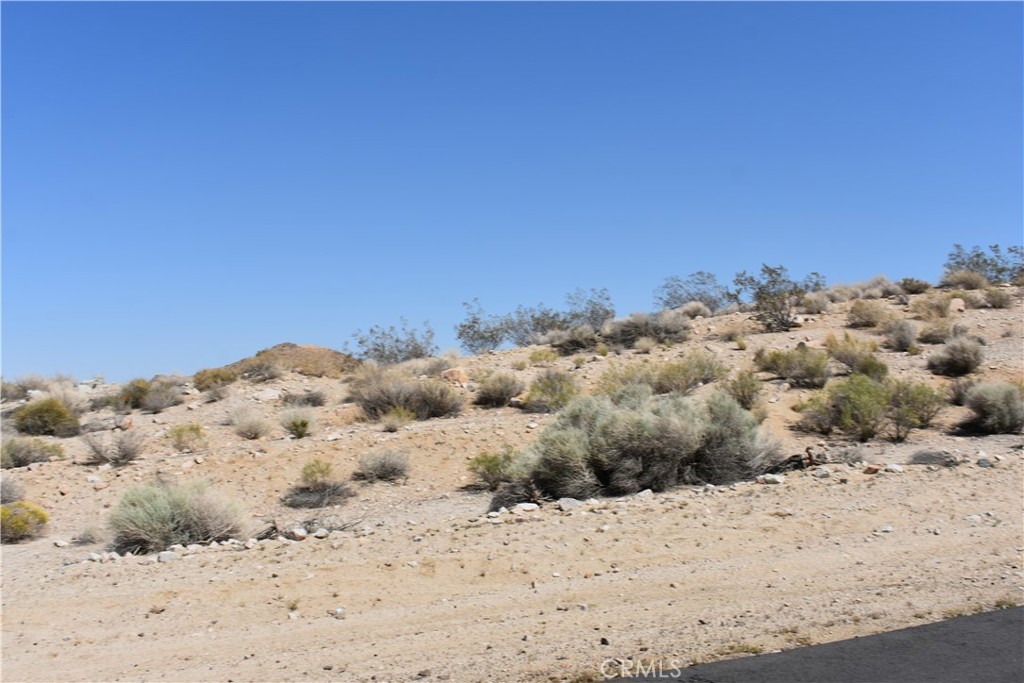 MLS #HD25051681 image #12