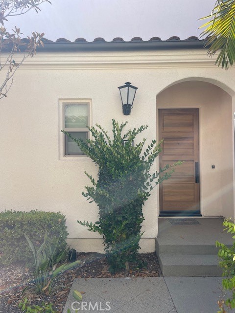 111 Holly Springs