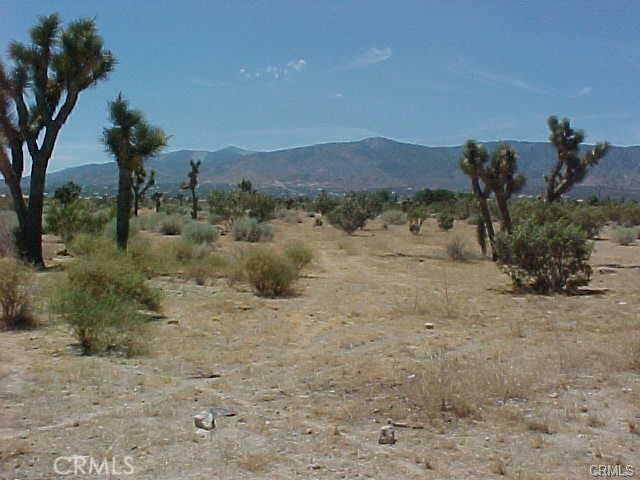 MLS #IV26194518 image #1