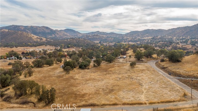 Detail Gallery Image 3 of 7 For 0 Feather Ln, Squaw Valley,  CA 93675 - – Beds | – Baths