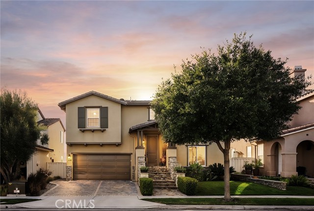 Front Image Thumbnail for CROC26039418