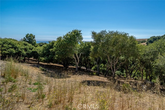 991 Visalia Street, Pismo Beach CA: https://media.crmls.org/medias/915d70b1-fb53-4a9a-ba36-82fa358a9de6.jpg