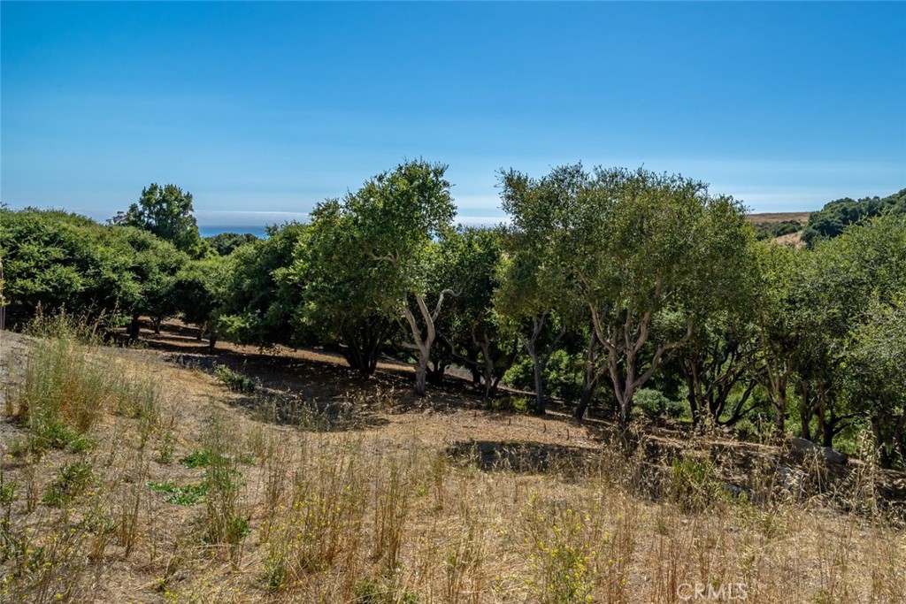 MLS #SC25182221 image #14