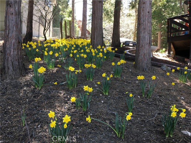 Detail Gallery Image 39 of 55 For 544 Old Toll Rd, Lake Arrowhead,  CA 92352 - 4 Beds | 3 Baths
