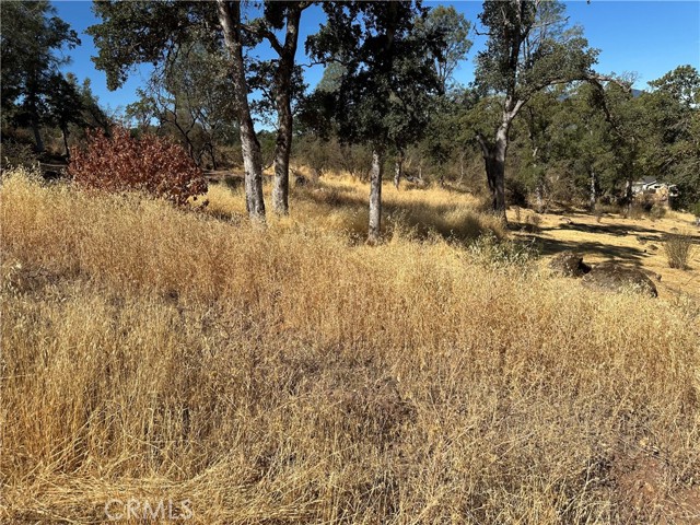 Detail Gallery Image 1 of 4 For 3503 Filmore Ave, Clearlake,  CA 95422 - – Beds | – Baths