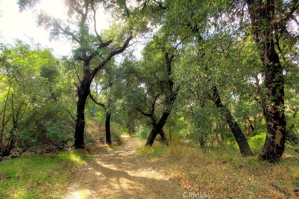 MLS #IG25034144 img 62