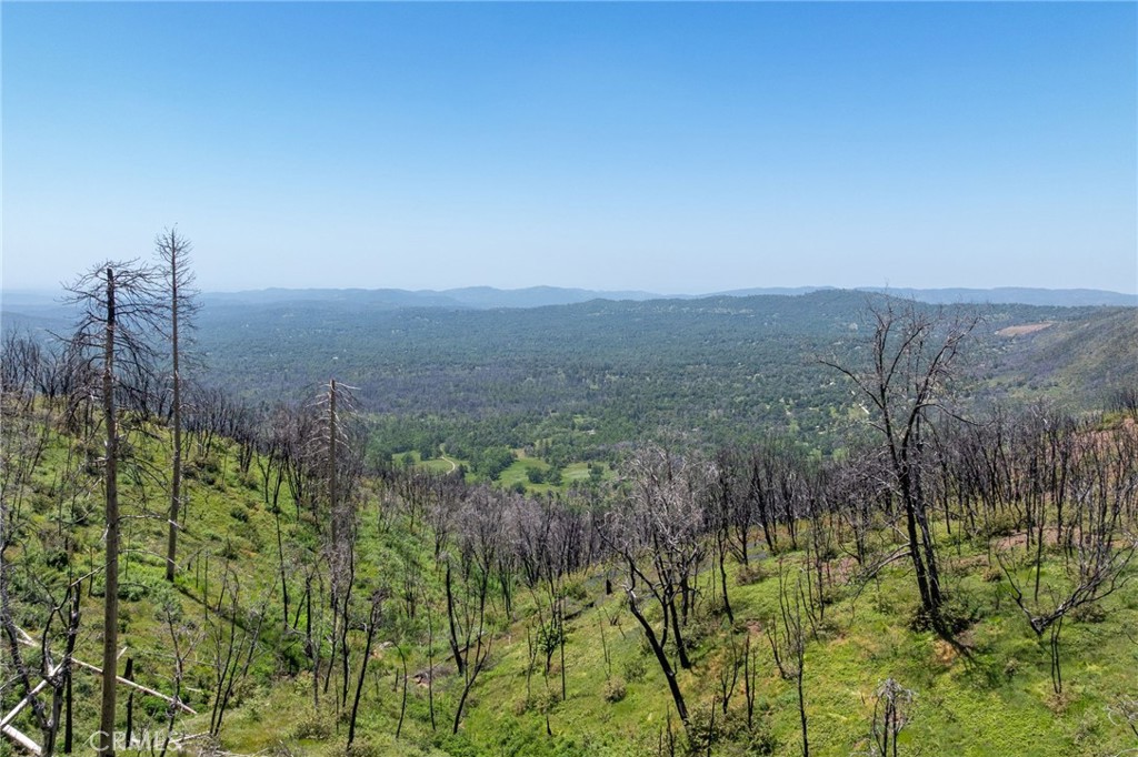 MLS #MP25088475 image #31