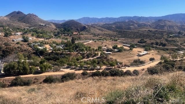 Detail Gallery Image 2 of 2 For 32600 Willow Ln, Agua Dulce,  CA 91390 - – Beds | – Baths