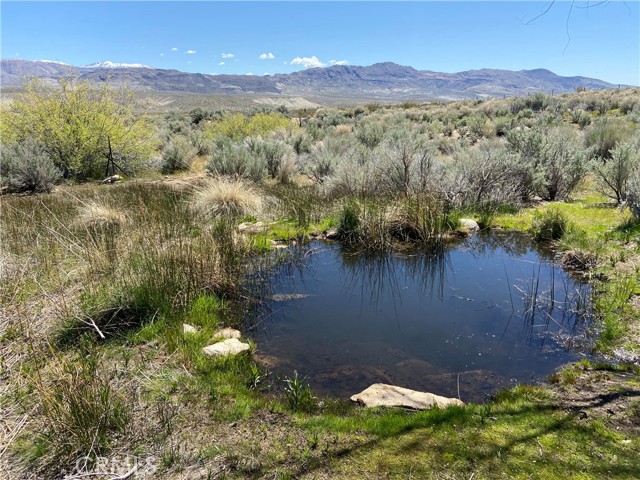 Detail Gallery Image 55 of 61 For 330 Sage Flats Dr, Olancha,  CA 93549 - 3 Beds | 2 Baths