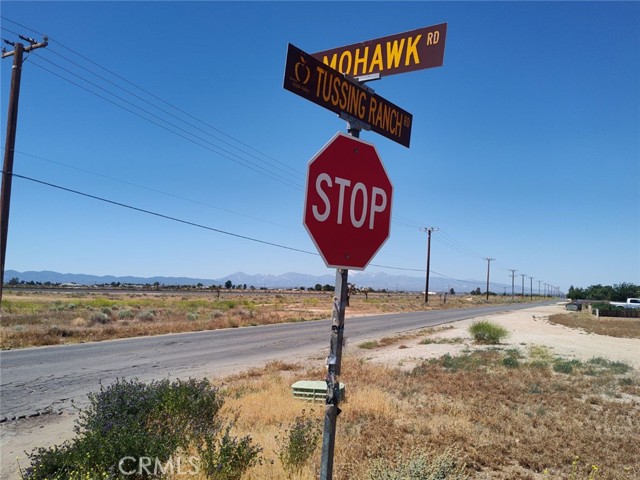 0 Boxwood Street, Apple Valley, California 92308, ,Land,For Sale,0 Boxwood Street,CRSR24052017