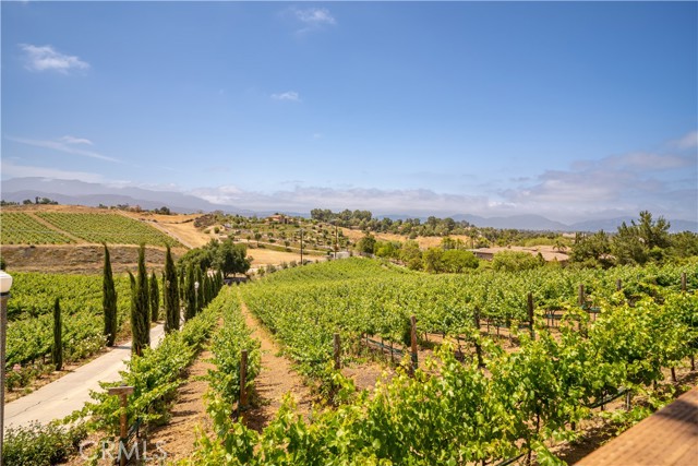 34150 Pauba Road, Temecula CA: https://media.crmls.org/medias/917a120b-4a68-4c3c-bd74-4aaec7a2d9fe.jpg