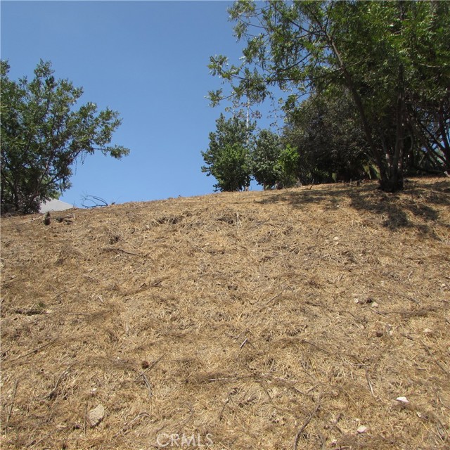 Detail Gallery Image 32 of 52 For 3631 Tacoma, Mount Washington,  CA 90065 - – Beds | – Baths