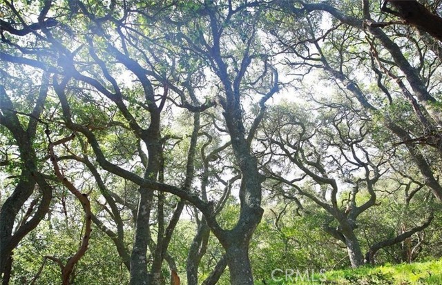 0 Old Creek Road, Cayucos CA: https://media.crmls.org/medias/918b6f3d-751a-4af2-9f22-b91012fe181a.jpg