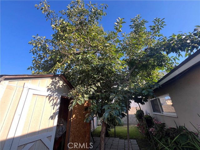 10842 Pine Street, Los Alamitos CA: https://media.crmls.org/medias/918c35e2-3de8-4e51-b9b1-ae2caabaceb6.jpg