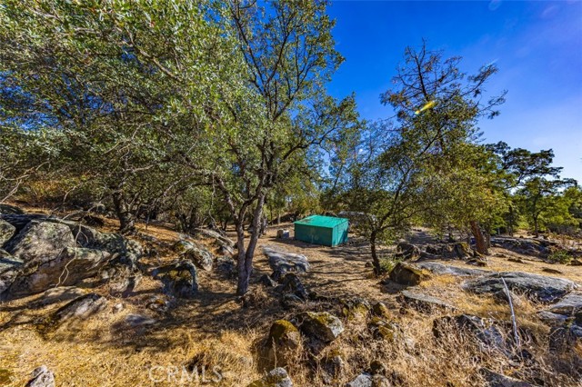 Detail Gallery Image 4 of 28 For 4200 Silver Lane Rd, Mariposa,  CA 95338 - – Beds | – Baths