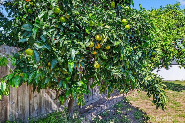 Detail Gallery Image 32 of 46 For 138 Terrace Ln, San Marcos,  CA 92069 - 4 Beds | 2 Baths