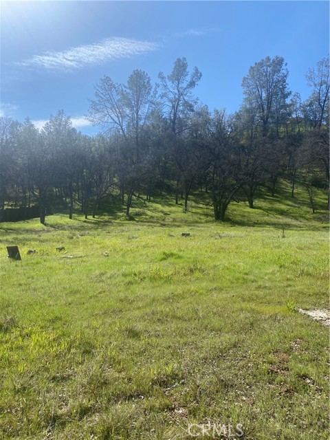 16587 Stagecoach Road, Corning, California 96021, ,Land,For Sale,16587 Stagecoach Road,CRFR23051146