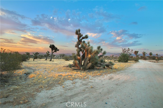 Detail Gallery Image 12 of 12 For 0 Forrest Dr, Yucca Valley,  CA 92284 - – Beds | – Baths