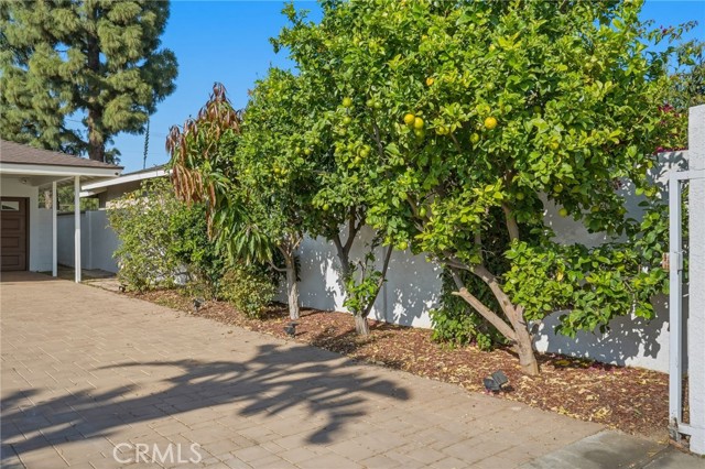 1110 E Meats Ave, Orange CA: https://media.crmls.org/medias/91a898a9-50a5-437c-823b-af01dd4d4427.jpg